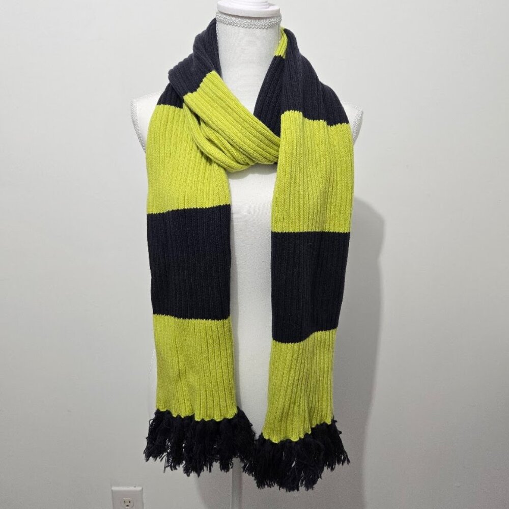 Lands End Striped Knit Scarf Blue Green Ribbed Fringe Warm Seattle Winter Cold